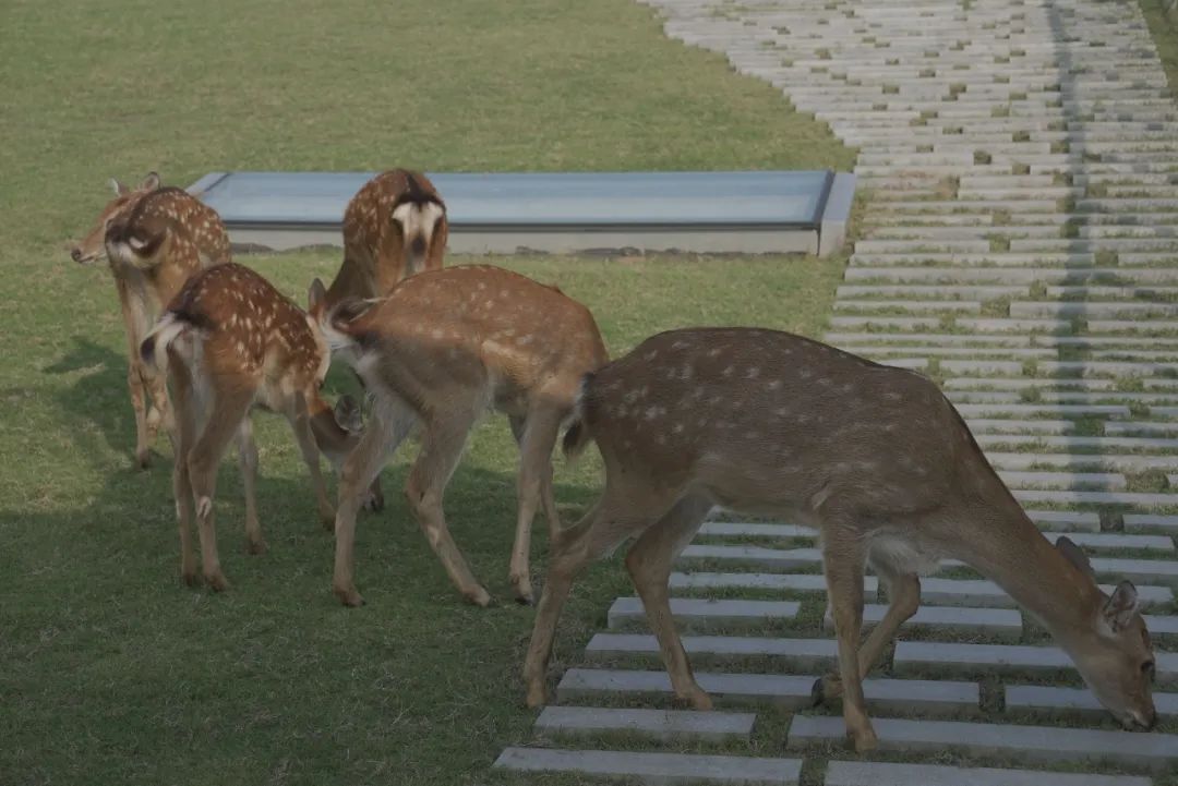 y6.jpg