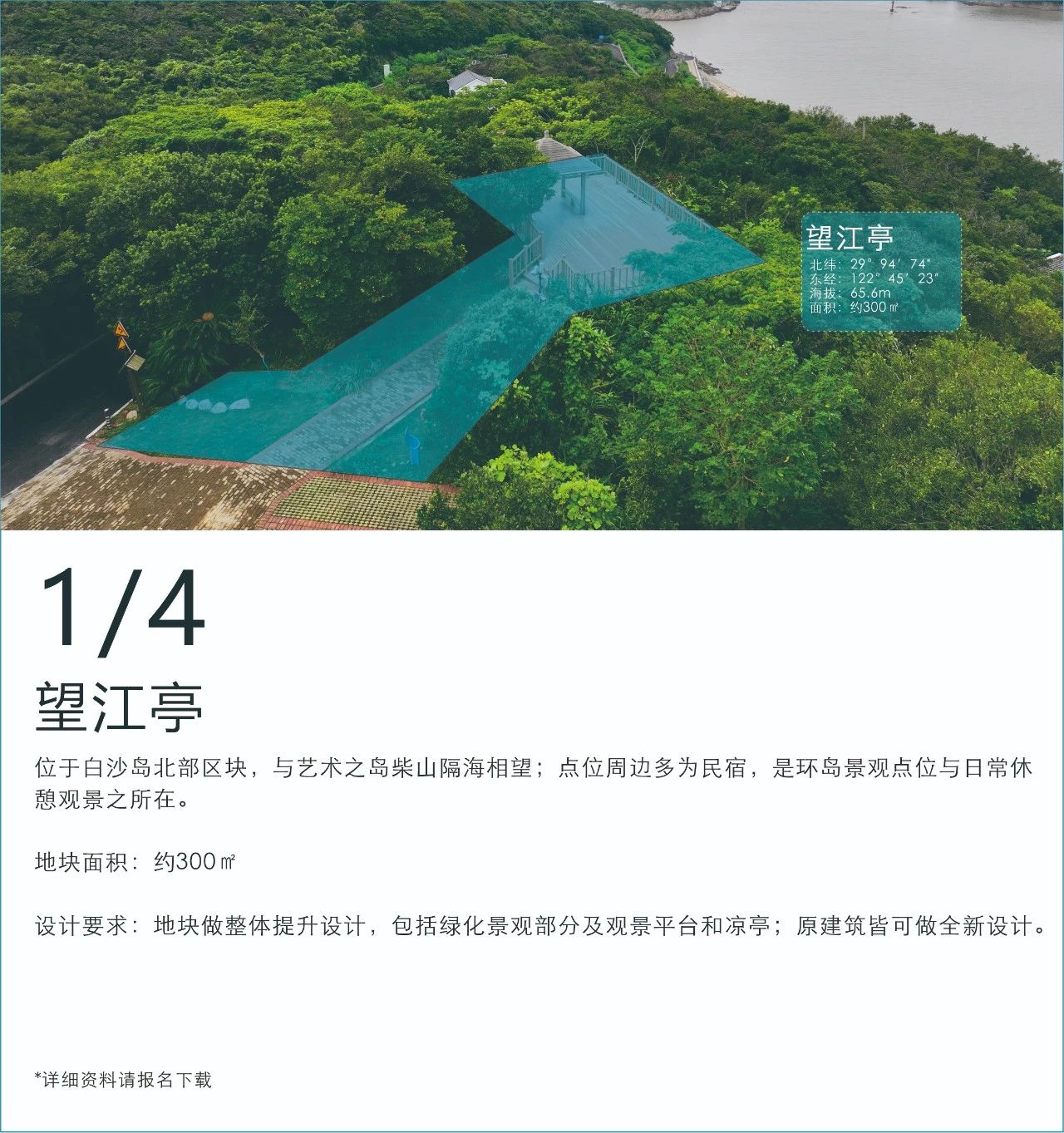 1111.jpg