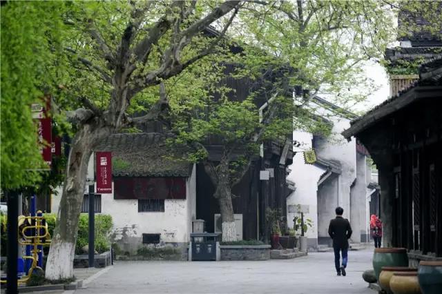 微信图片_20190308095833.jpg